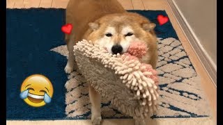 thicc boi likes slipper