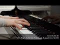Seiler Flügel, Modell 206 Professional, Bj.2000 |  Franz Liszt - Spanische Rhapsodie