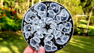 #1041 'Curly Whirly' 3D Resin Petal Bloom Effect Black And White Coaster