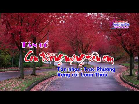 Karaoke tân cổ CON ĐƯỜNG MANG TÊN EM - THIẾU ĐÀO [Jimmy Tran]