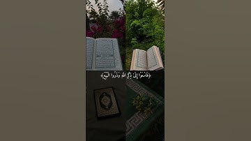 القران الكريم.       اللهم صلي وسلم وبارك وزد وانعم علي اشرف الخلق سيدنا