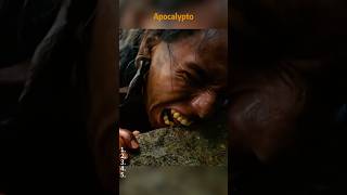 The Jaguar Hunt Begins