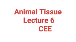 Animal Tissue Lecture 6 By Dr Milan Gaire sir