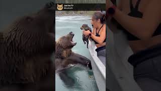 Bear Gives Infant To People On Boat — Then Gets Swept Away 😢🐻💔