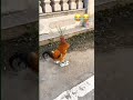 Vibes Funny Vichekesho Vunja Mbavu Vibes Funny Vichekesho Vunja Mbavu