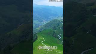 Guilin's terraced fields