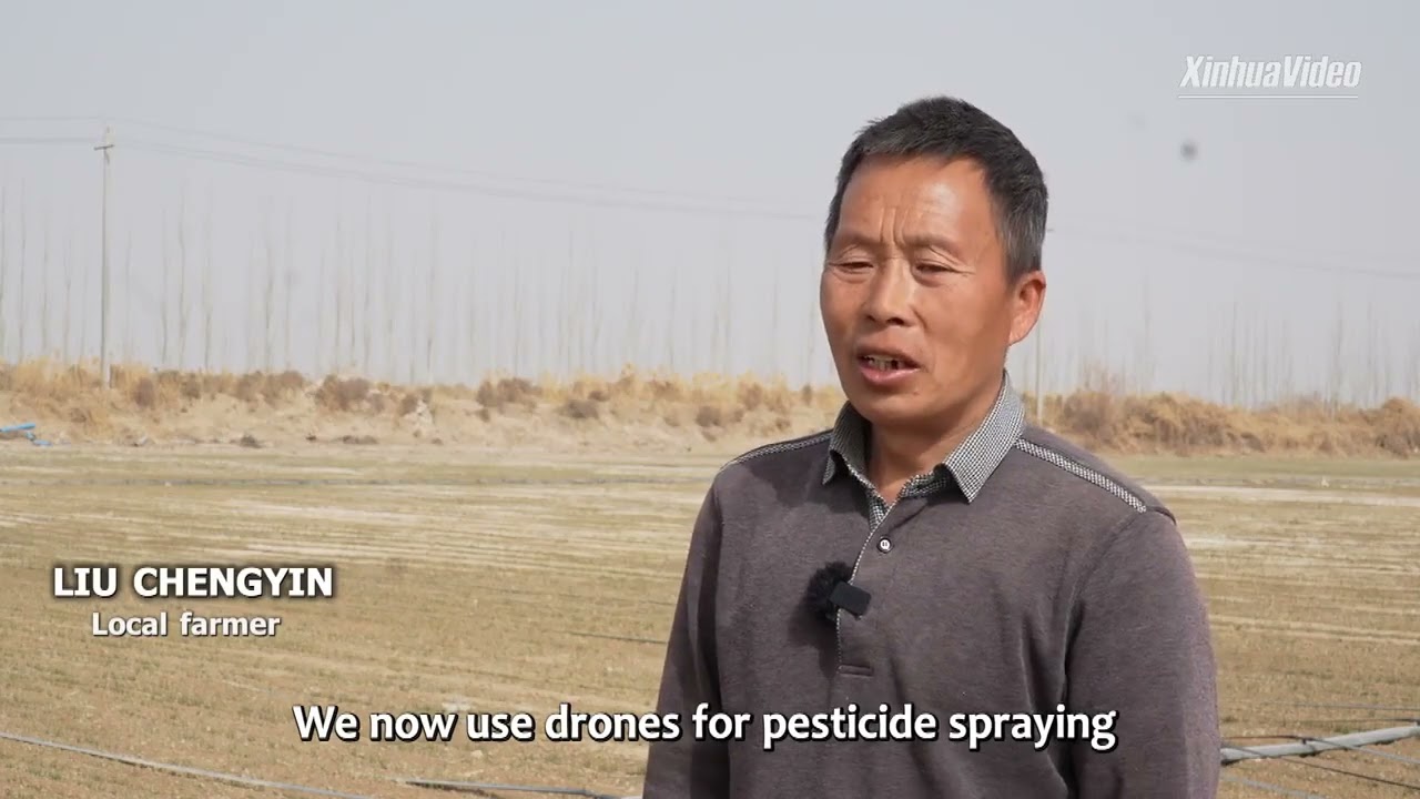 China's Xinjiang embraces modern farming techniques to boost winter wheat growth