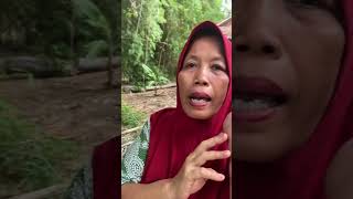 Download Lagu Tahun baru ora due duit #waduke #komedi #degelanjowo MP3