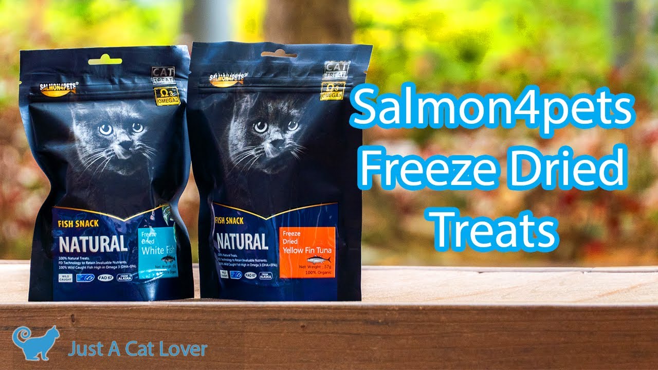 freeze dried fish for cats