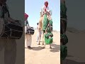 أداء حركات خطيرة فوق الجمل في حفل الزفاف كلف الفتاة غاليا 