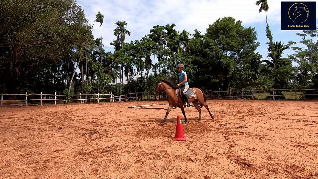 How to Ride a Horse Forward. Sinhala YouTube