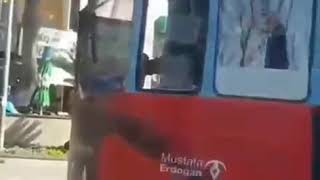 Bunun adına uygarlık denilir! Antalya'da bir tramvay su içen kediyi bekliyorsa hala bu ülkede umut v