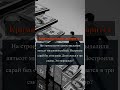 Финансовое мошенничество #распил #взятка #скандал #коррупция #задержание #расследование #уголовноеде
