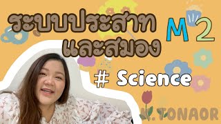 ระบบประสาทและสมอง ม.2 #ติวก่อนสอบ #วิทยาศาสตร์