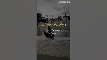 سورة إبراهيم ❤️  #قران_كريم              #راحة_نفسية #اكسبلور #حالات_واتس #لايك #راحه_نفسيه #قرآن