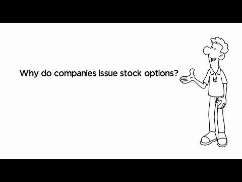 Why Issue Stock Options