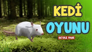 Kedi Oyunu 10 - Fare Yakalama | Kedilerin İzlemesi İçin Eğlenceli Fare Yakalama Videosu 😻 screenshot 5