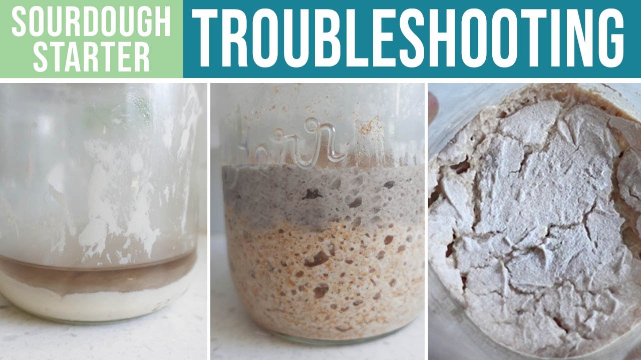 Troubleshooting sourdough