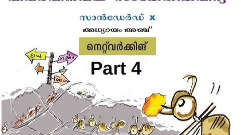 CM Soft ICT Tutorials Std 10 Chapter 5 Network 4