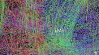 3D connectome visualization using TrackVis: rotating and zooming