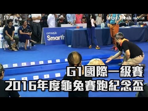 【寓言嘢】龜兔賽跑紀念盃2016年度