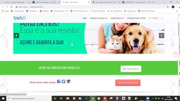 SISTEMA MODERNIZA: integração com loja virtual (e-commerce)