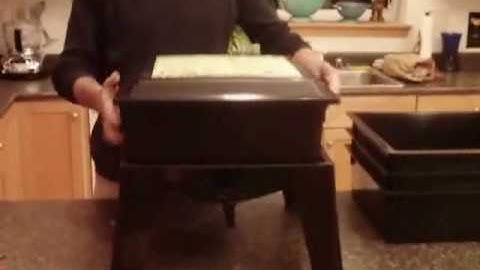 Worm Factory® 360 DVD Preview