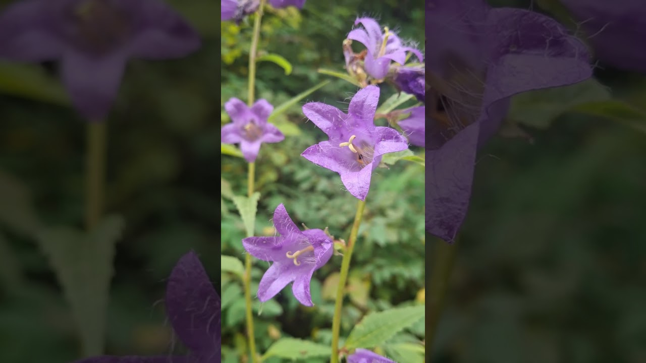 Завтра вже осінь