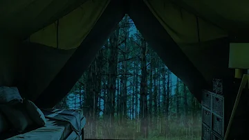 Sleep in 30 Minutes with Rain Sounds, Rain Sound on Tent - 30 Min Rain sounds for sleep