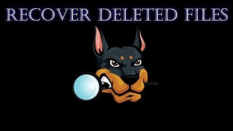 How to Recover Deleted Files using Autopsy - USB Drive Example