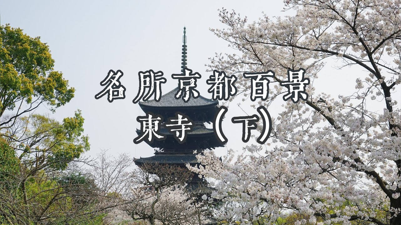 东寺|1200年不灭的密教圣地,五重塔与空海的传奇(Toji, Kyoto's Spiritual Landmark) YouTube