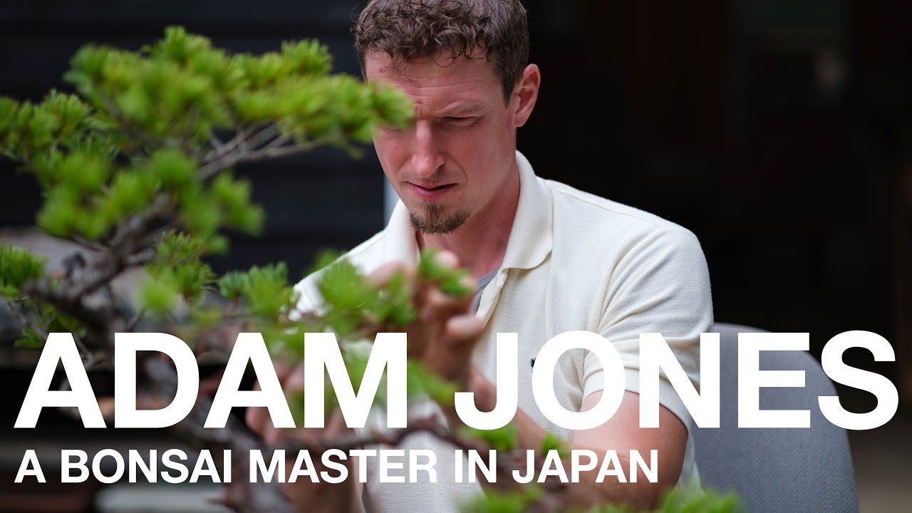 Adam Jones, a Bonsai Master in Japan