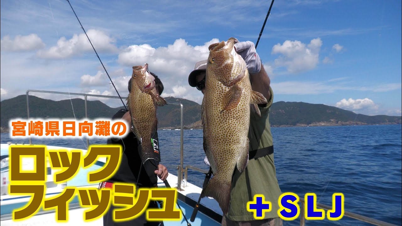 宮崎県日向灘のロックフィッシュ＋SLJ