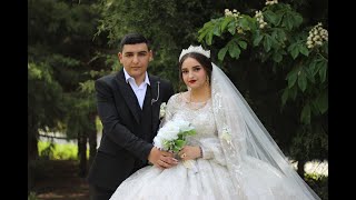 картинка: Цыганская свадьба Лёша и Альбина 05.05.2023 1 ЧАСТЬ