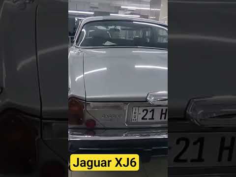  6 1986 جاكور كلاسككار سيارات قديمة سيارات مستعمله جاكور    