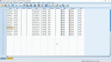 How to enter responses from Questionnaires on SPSS