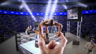 WWE Mattel High Flyin' Fury