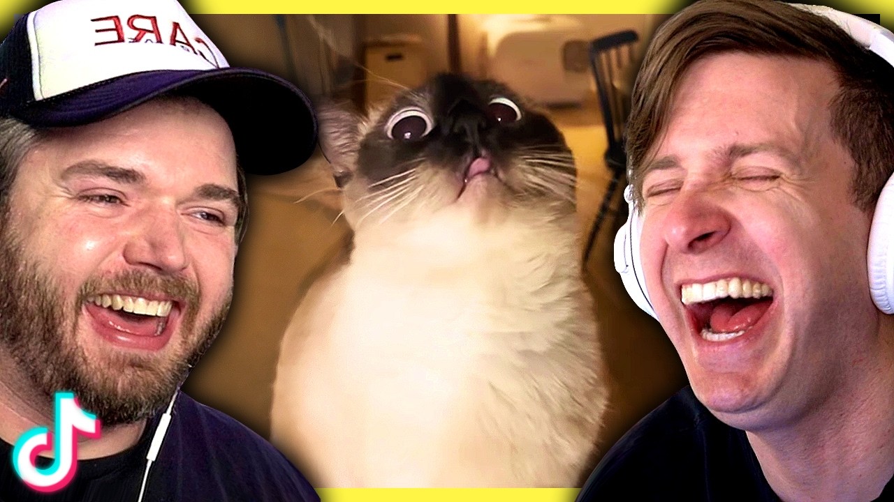 Hilarious TikToks that will tickle your funny bone