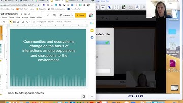 Community interactions