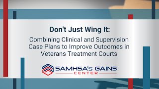 GAINS Webinar: Case Planning for Veterans Treatment Courts
