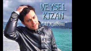 VEYSEL KIZAN / AL KALBİMİ Resimi