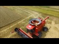 Chorum Grain Farms Wheat Harvest 2016 Case IH 8240 and 2588 Combines - DJI Phantom 3 Footage