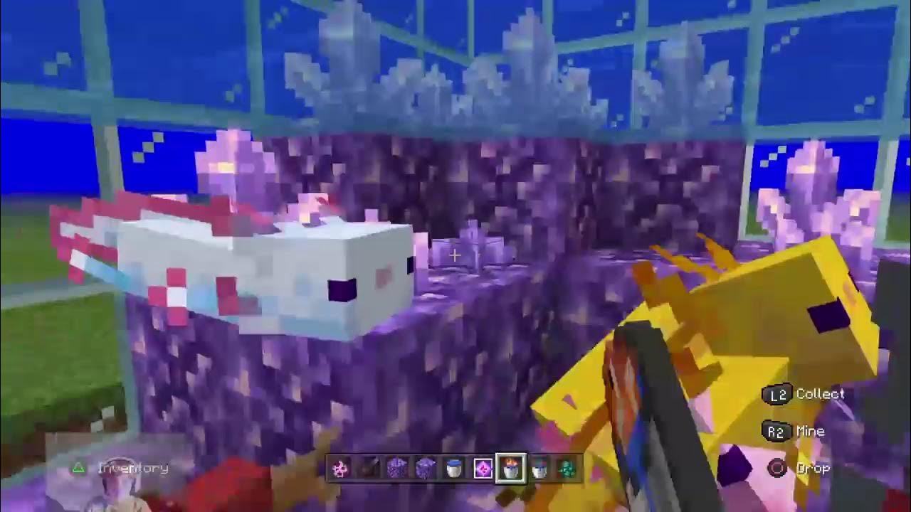 SPAWNING 100+ AXOLOTLS TO GET THE BLUE AXOLOTL IN MINECRAFT (and some
