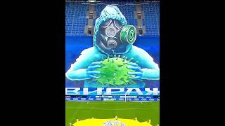 When football fans go WILD!!