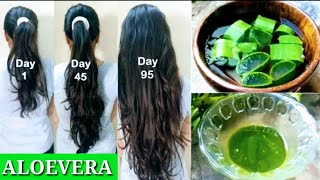 Homemade Aloevera Hair Oil for Double Hair Growth - Aloevera Gel to Get Long Hair, No Hair Fall