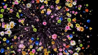 Canis Minoris - ``The Spirit of Ecstasy`` (Vocal Version)