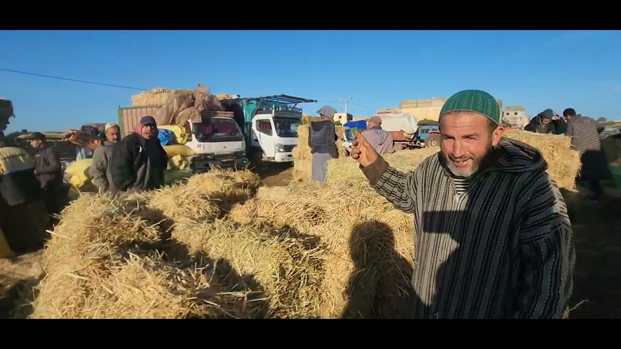 مباشرة من سوق الأسبوعي خميس سيدي حجاج مع تمن أعلاف 🇲🇦