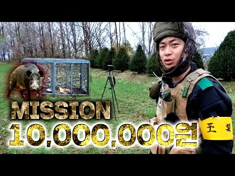 [윽박] 멧돼지 잡을시 1000만원 미션!! 168시간 잠복근무/결과는?