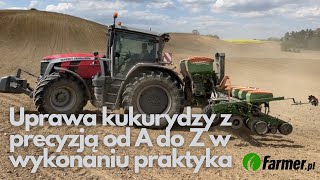 Uprawa kukurydzy z precyzją od A do Z w wykonaniu praktyka | Farmer.pl