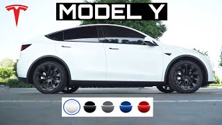 Sports Performance Tesla Model Y Paint Colors | Pros and Cons of Each